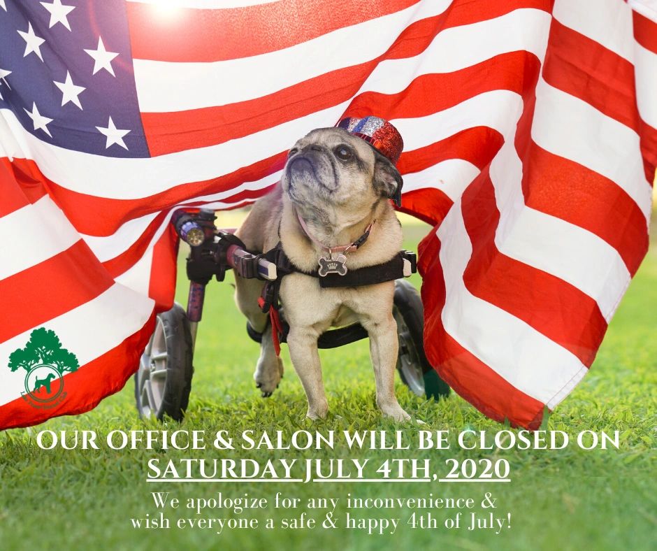 Have a Safe & Fun Fourth With Your Pets!
